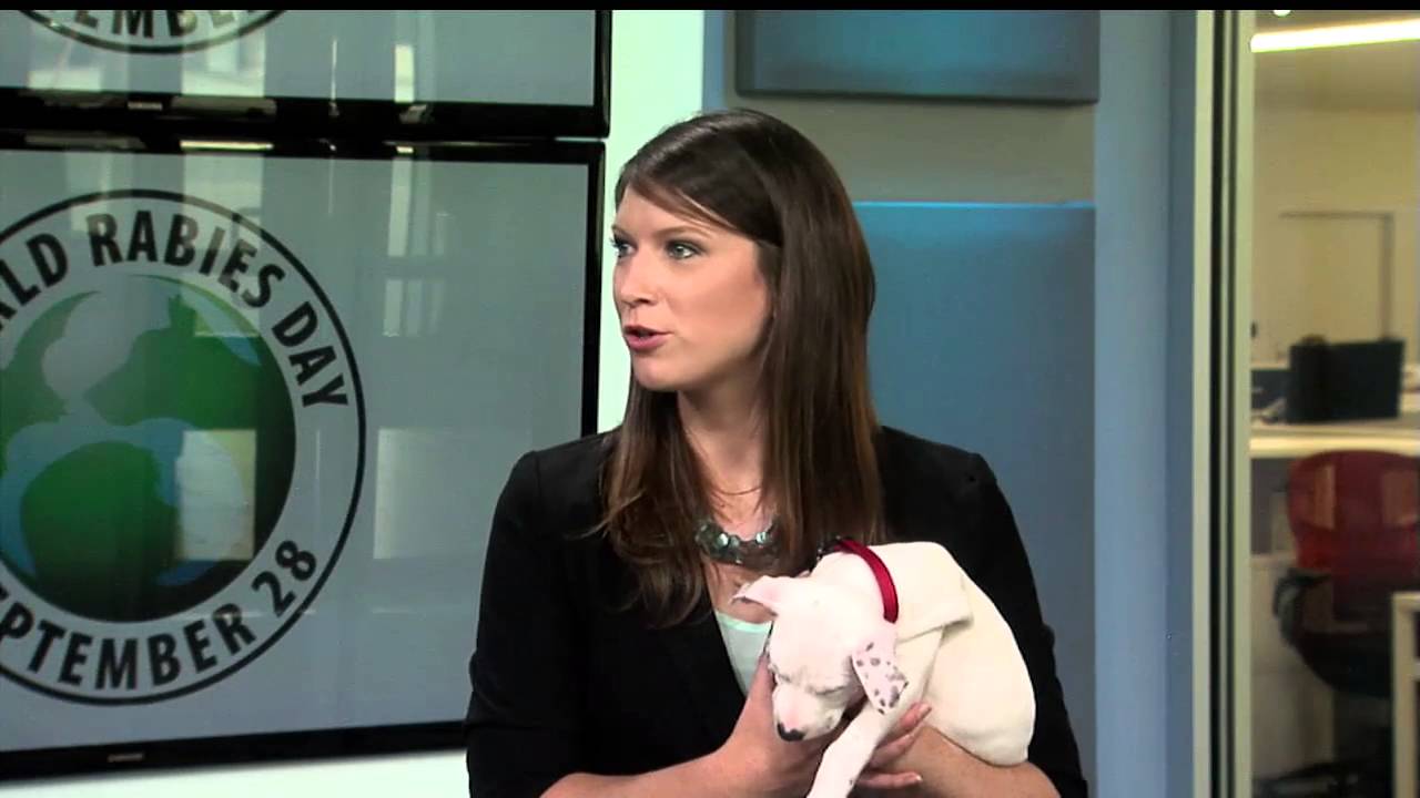 News OK & OK Humane's Rescue Rundown Episode 4: Five Facts about Rabies