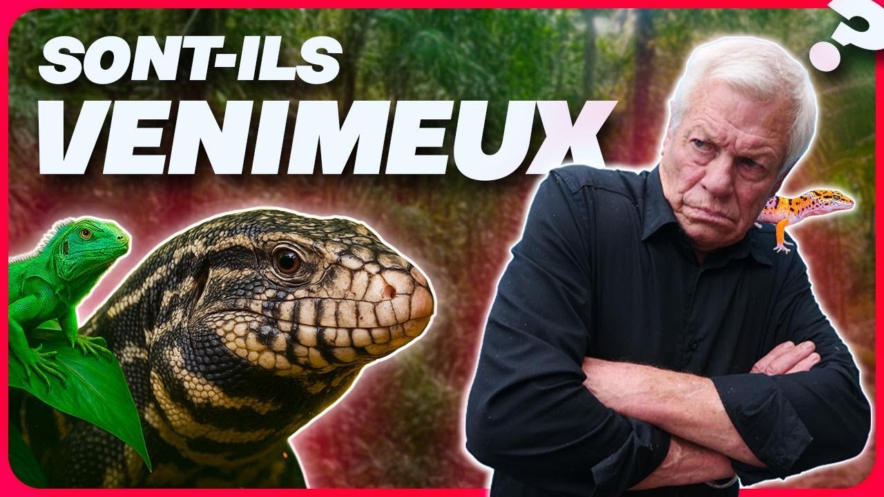 Lézards, ces choses que tu ignores sûrement...