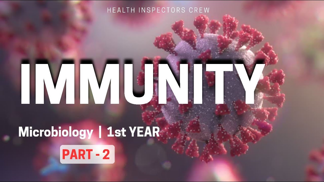 Types of Immunity Explained (Part 2) | DHIC 1st Year Paper 2 | Exam-Focused | MICROBIOLOGY