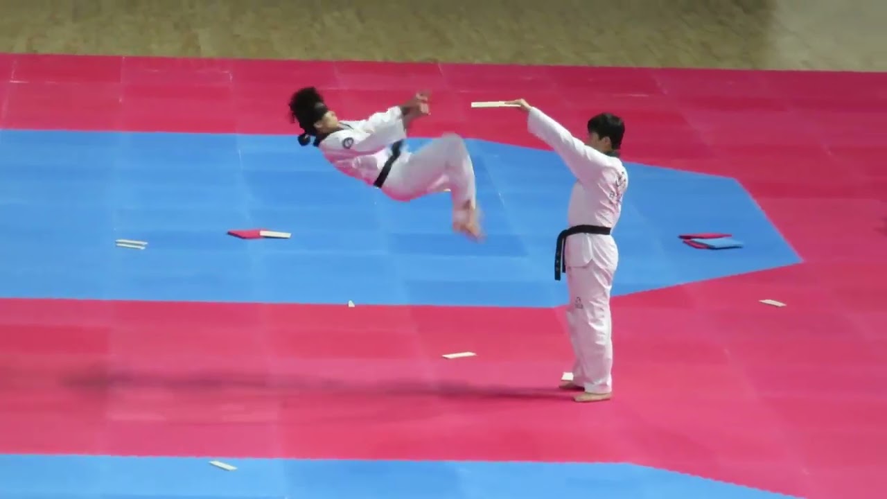 Demonstration TaekwondoWon Korea 2014