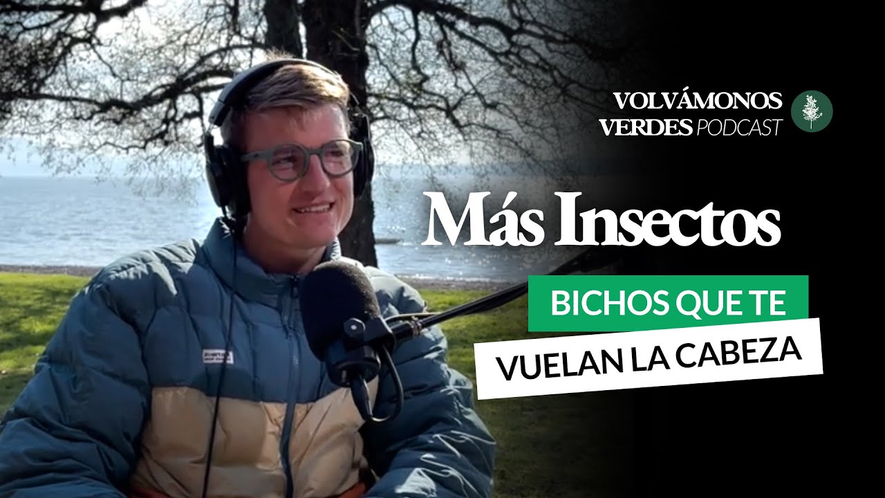 Insectos que te vuelan la cabeza | Cristóbal Sprätz | 106