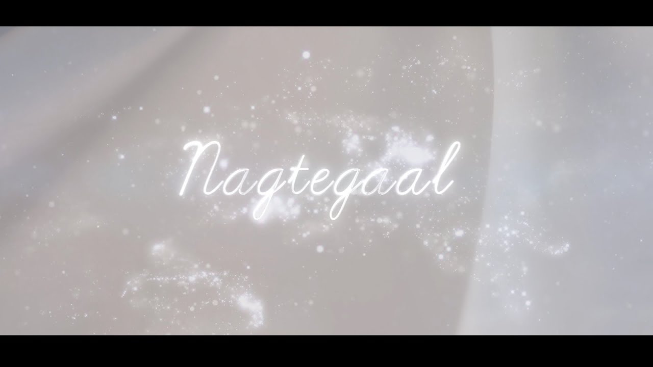 Gabi Swanepoel - Nagtegaal (Lirieke Video)