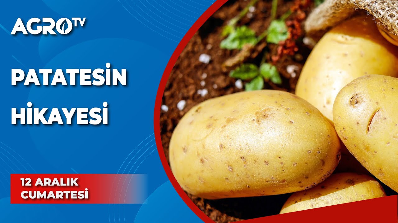 Patatesin Hikayesi / Toprağın İzinden - Burcu Çetinkaya - Agro TV