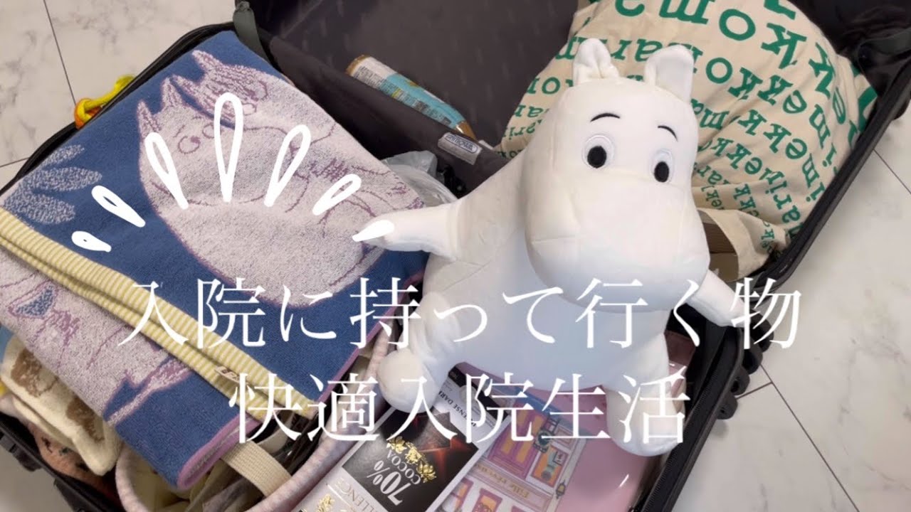🏥入院するときに持って行く物　Things to bring when you are hospitalized ムーミンと一緒に入院　癒しの入院　少しでも楽しく快適に入院❤️　シュナウザー