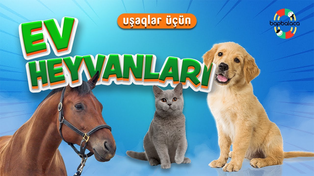 Ev heyvanları - uşaqlar üçün öyrədici video - heyvanlar necə danışır