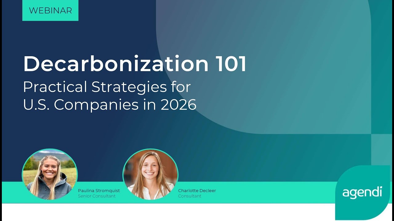 Decarbonization 101: Practical Strategies for U.S. Companies in 2026