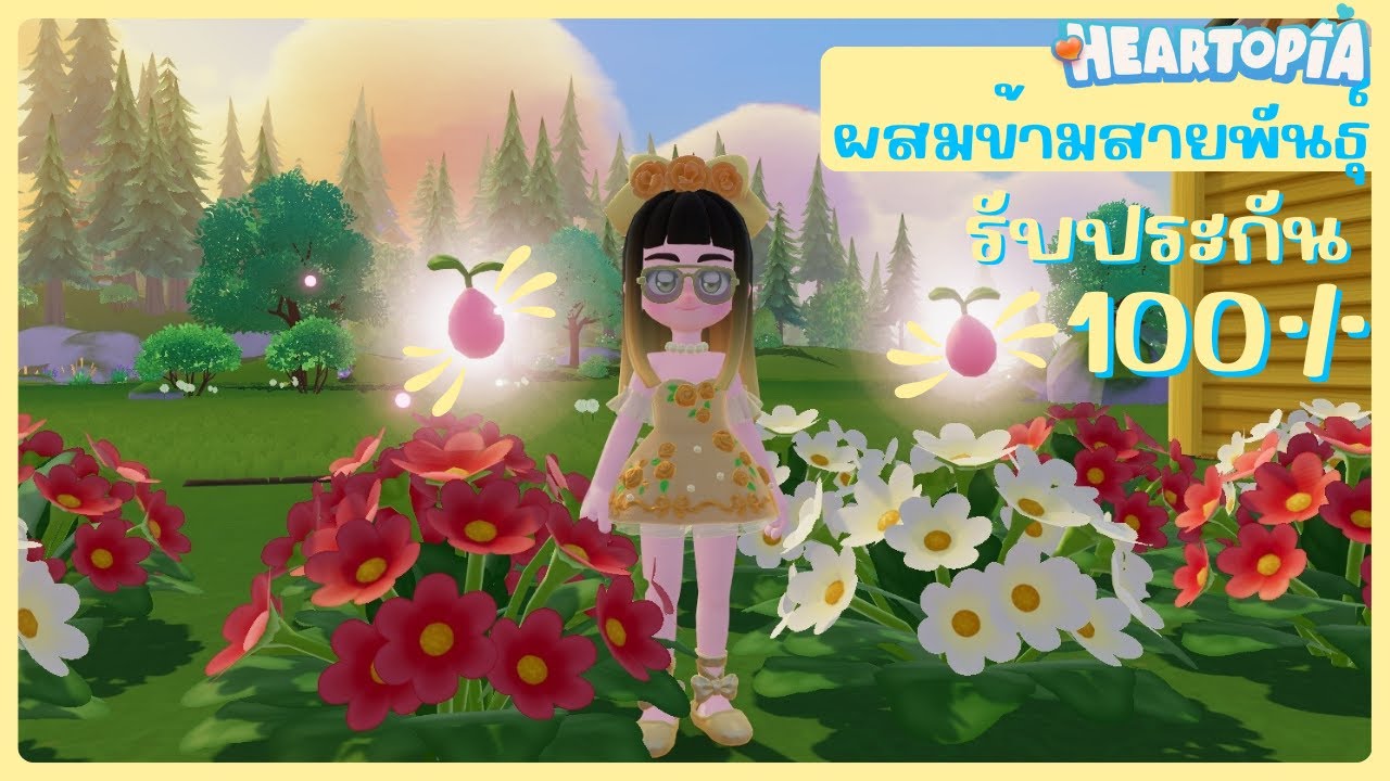 🌼เควสผสมข้ามสายพันธุ์🌼รับประกันผ่าน 100% l Heartopia 💖