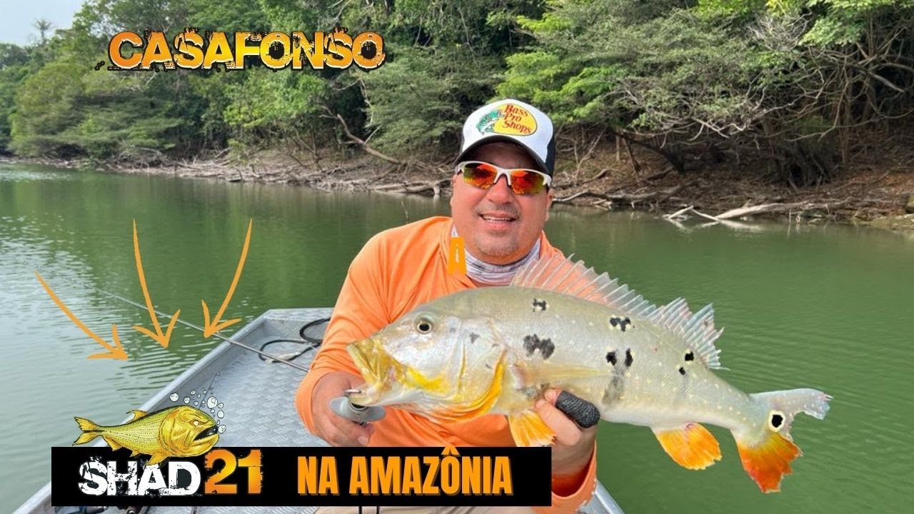 Isca Shad21 na Amazônia - Tucunaré Pinima