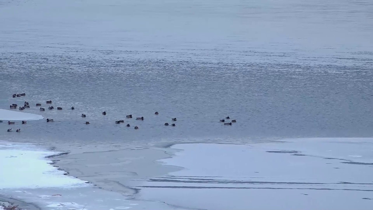 Программа 