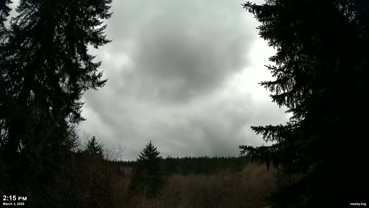 March 3, 2026 - Cloudy Pacific Northwest Skyscape Timelapse Video | 4K 60fps