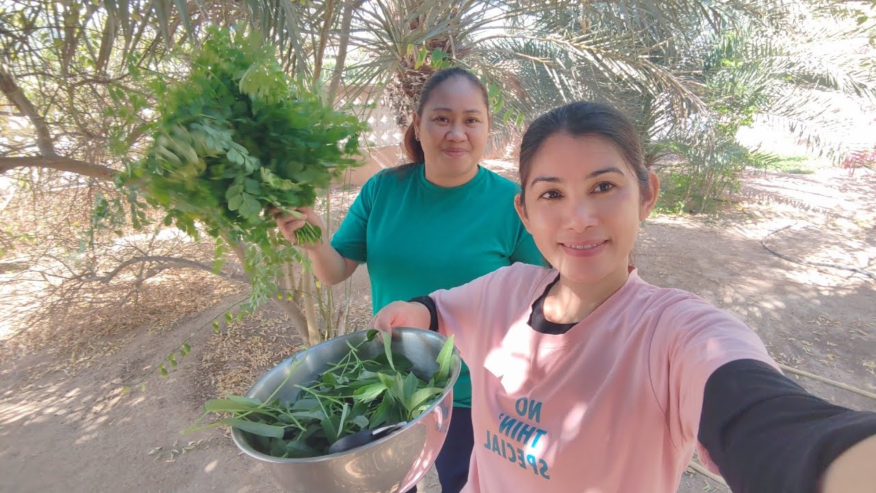 Feeling nasa bukid nakapamitas ng gulay at nagluto ng pinoy food#UAEOFWLIFE #pinayofwlife 