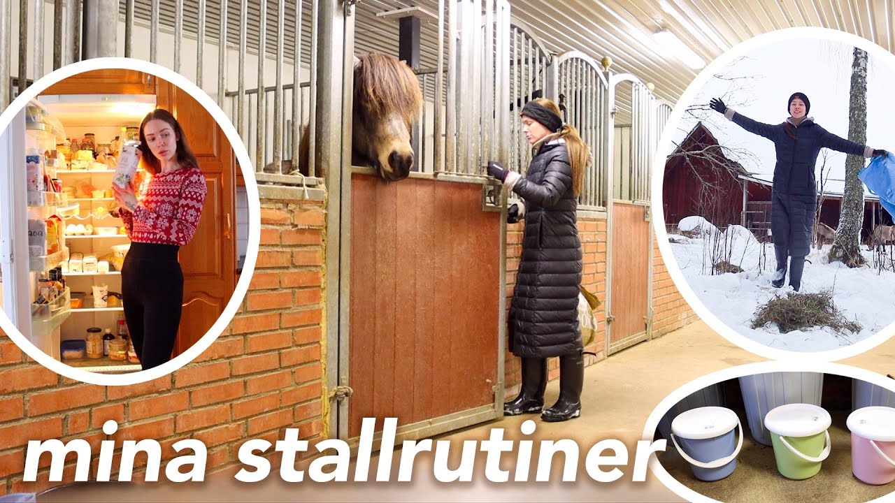 En vanlig dag på gården: Mina stallrutiner etc! // EXTRA LÅNG VLOGG