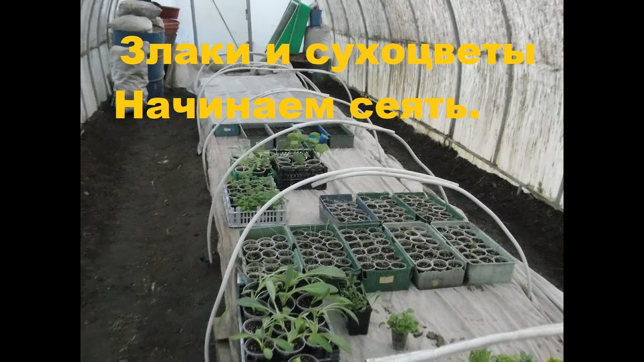 22-23 марта. Начинаем работать в теплице.