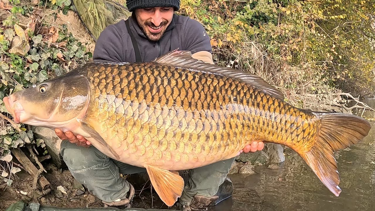 Il mio record in fiume! Urban Carpfishing invernale!