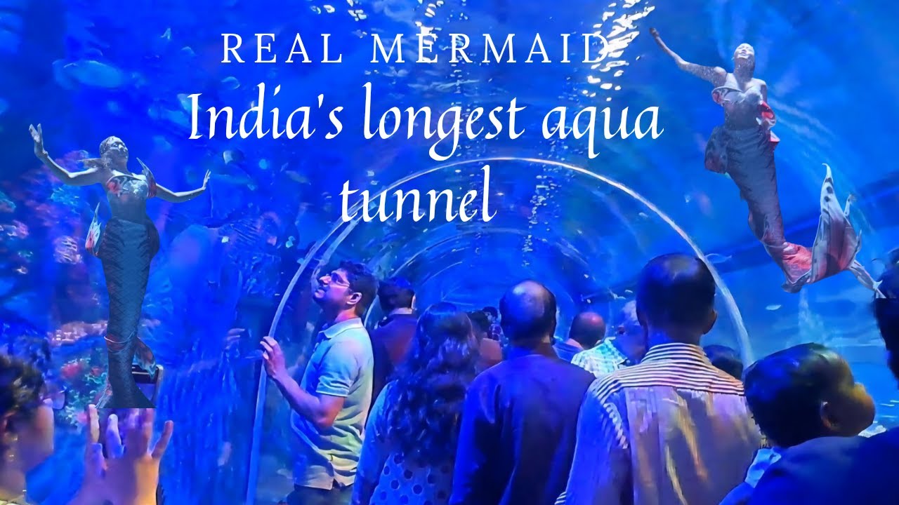 Bangalore&rsquo;s Hidden Gem | Mermaid Show & India&rsquo;s Longest Aquarium Tunnel