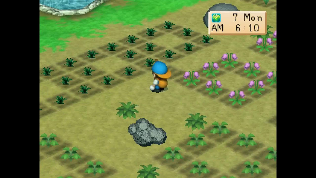 Harvest moon back to nature - PlayStation 5 part 10