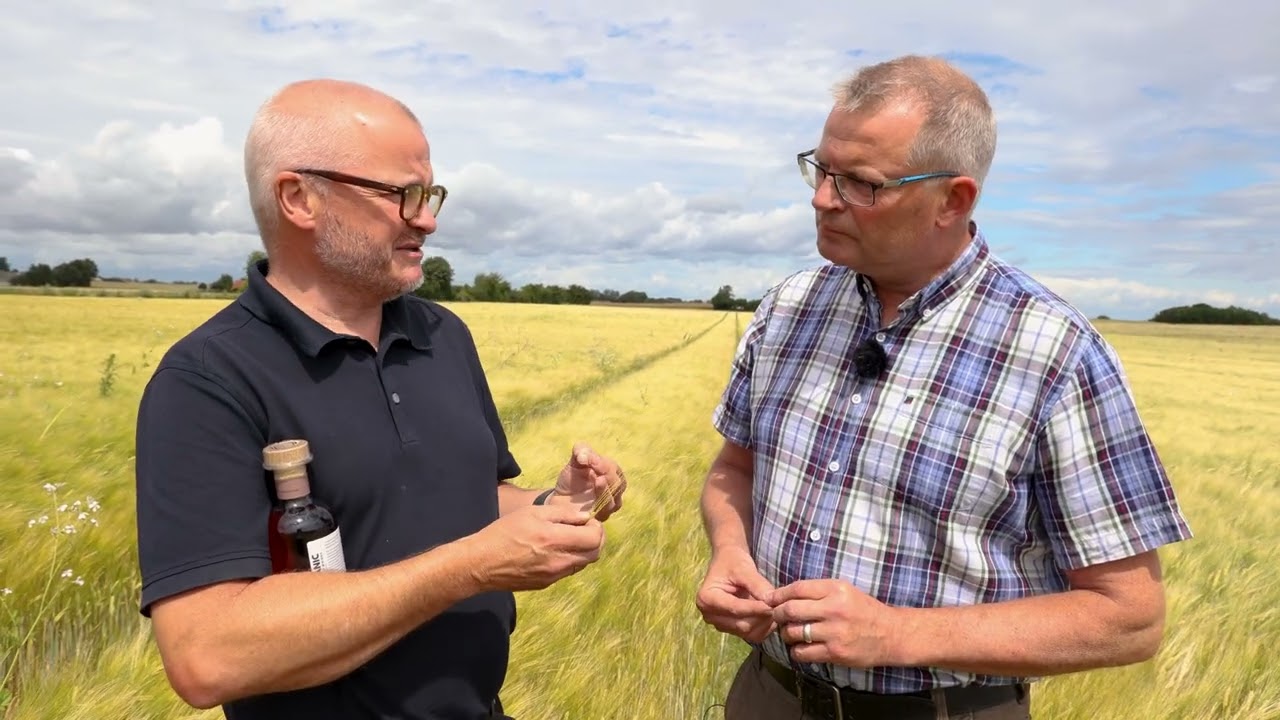 Økologi Tæt På Fyn - Mosgaard Whisky