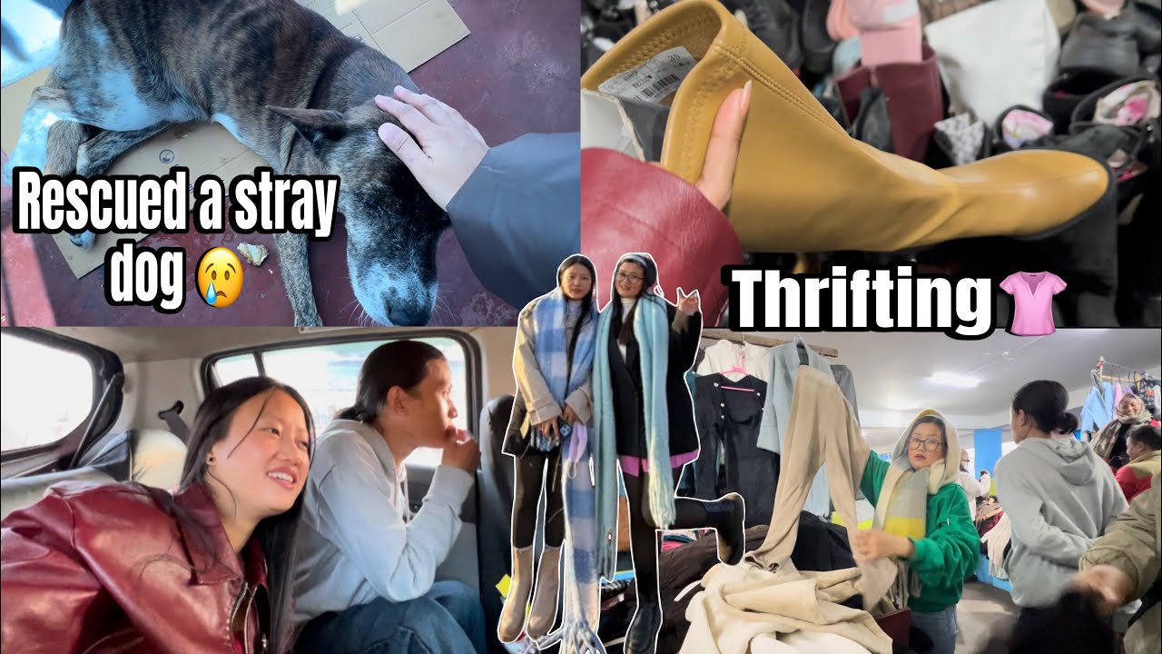 Cheapest thrift market in Shillong📍|Rescued a stray Dog 🐕 | Back to Arunachal |