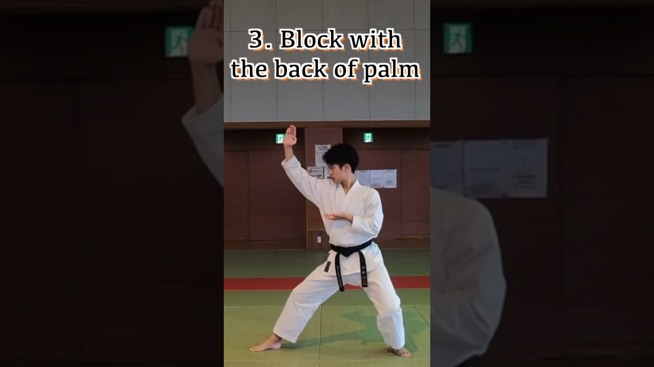 Miyagi-Do Forms Tutorial｜Cobra Kai