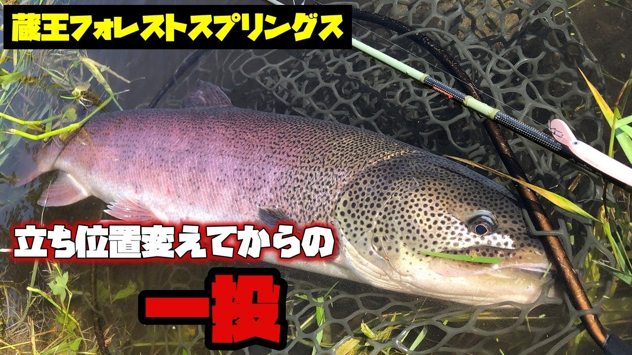イトウを発見してからヒットまでの2分間【蔵王フォレストスプリングス】