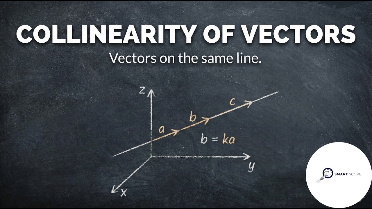 COLLINEAR VECTORS EXPLAINED || ( lecture 9) || Vector Algebra