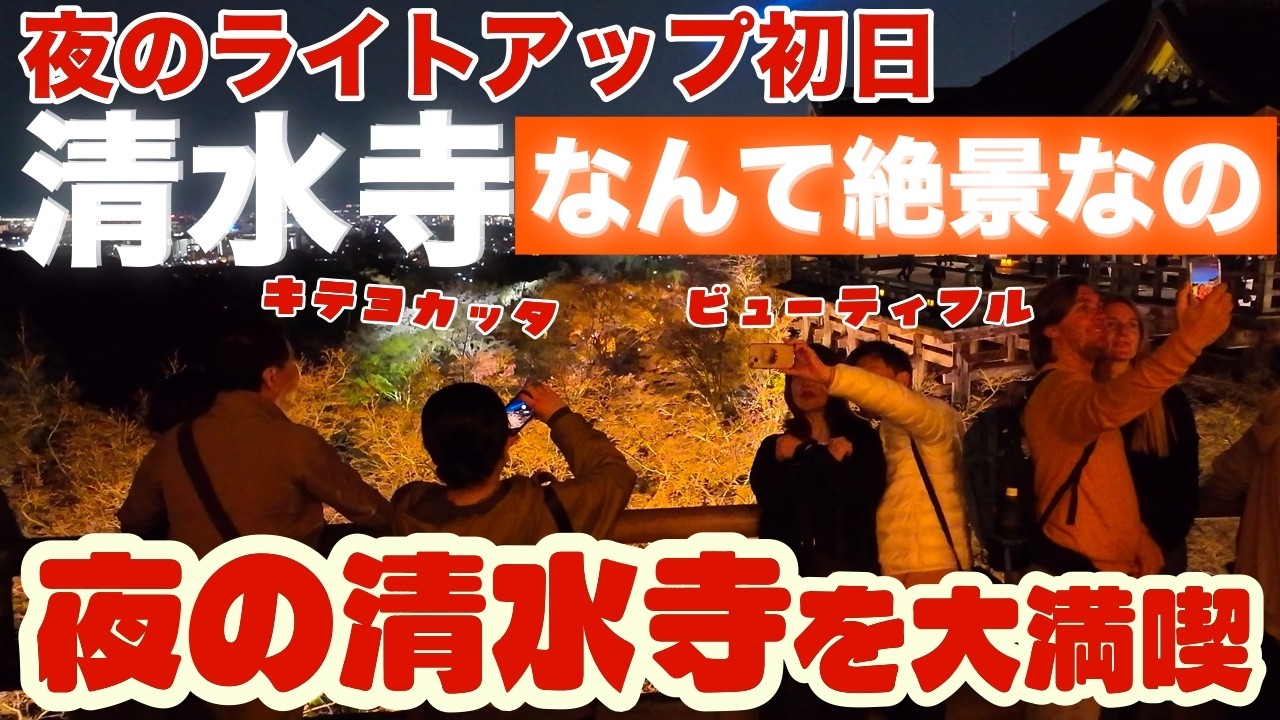 3月27日(金)舞台からの絶景が見れる夜のライトアップ始まる📷【清水寺の夜間特別拝観】を歩く 外国人観光客も少なめの奇跡の日 しだれ桜咲く京都🌸