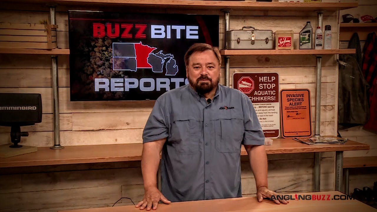 Buzz Bite Weekly Report 06/15/16 Dave Csanda