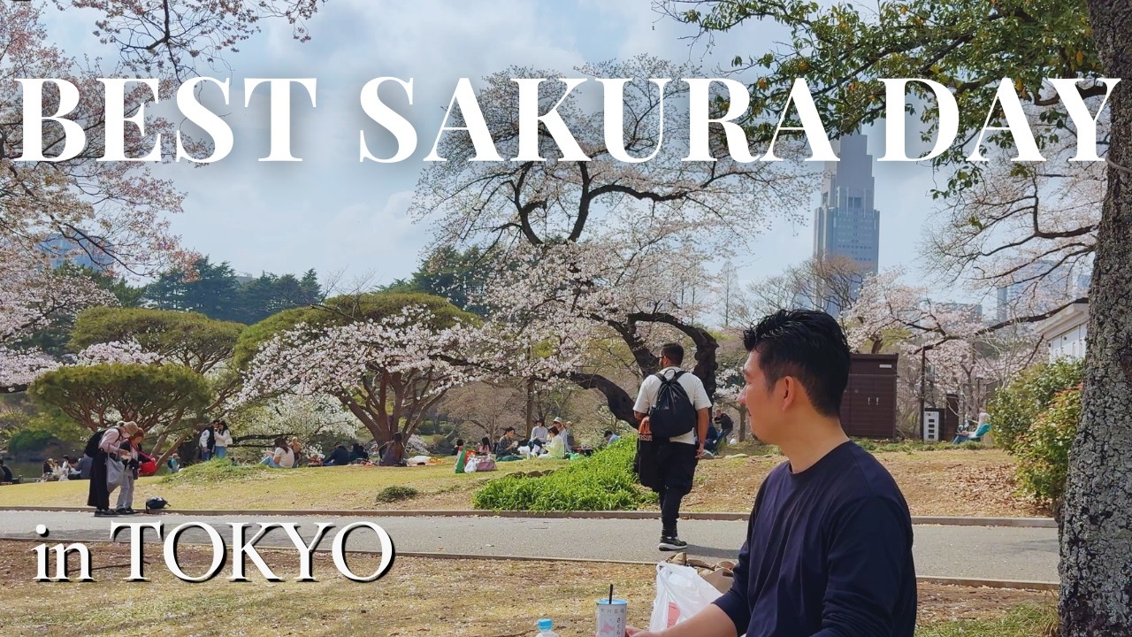 Sakura Update 2026: Exploring the Best of Cherry Blossoms in Tokyo