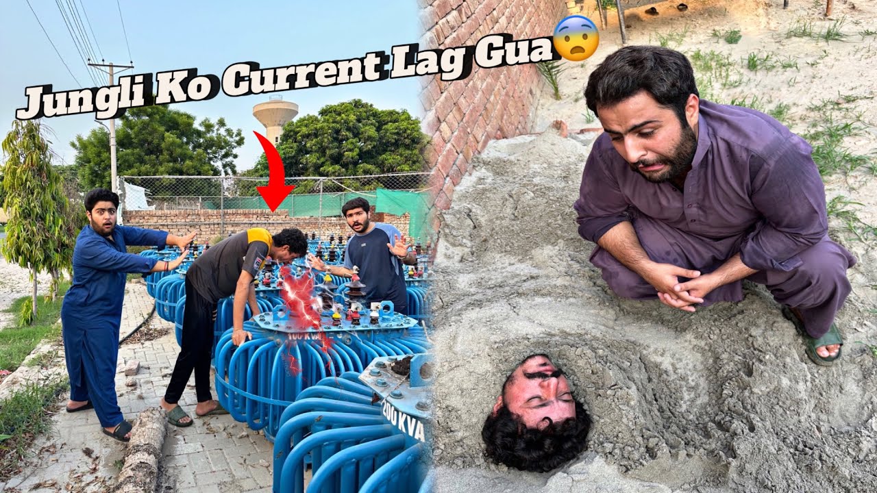 Mowgli Ko Zor Ka Current Lag Gaya 💔 | Real Jungle Book Moment 😭 | SW Pet House
