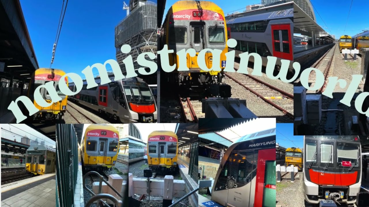 10.Trainspotting at Chatswood Station 24/12/25