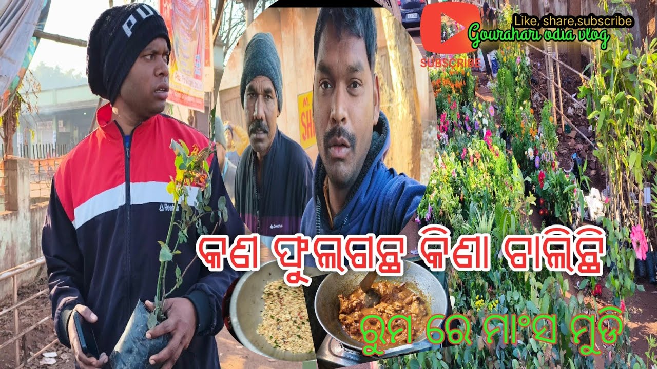 କାହାପାଇଁ ଫୁଲଗଛ କିଣା ହେଉଛି ||Gourahari odia vlog 