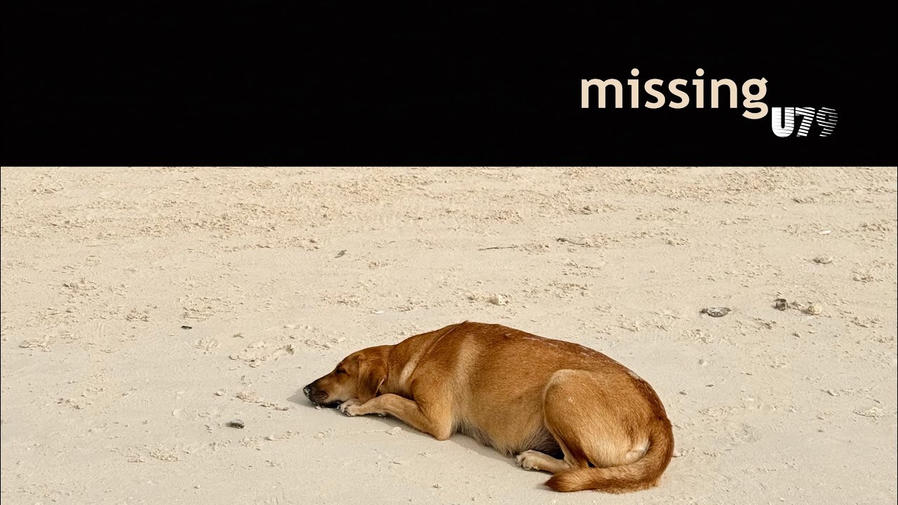 Missing (2026) - Downtempo