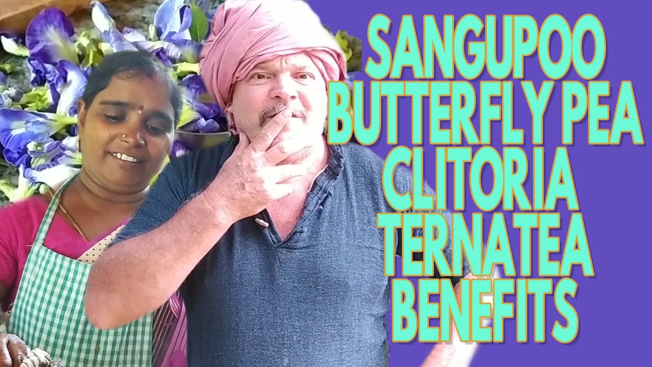 Как приготовить синий чай-Готовим с Кришной Маккензи  ?...