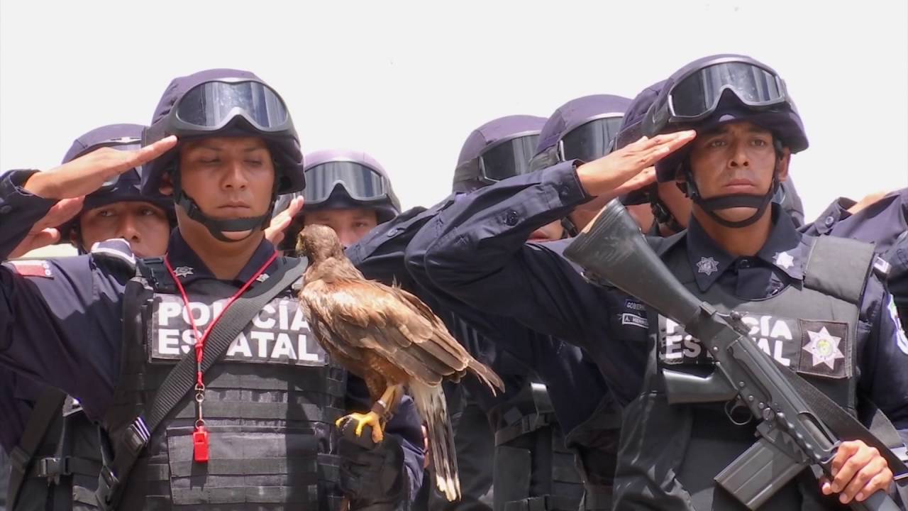 Se grad&uacute;an 152 polic&iacute;as estatales bajo el Nuevo Modelo Policial