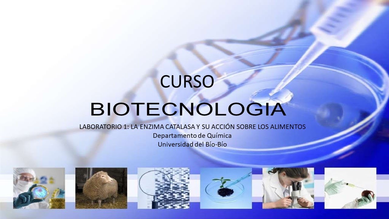 Laboratorio 1 La enzima catalasa y su acción sobre los alimentos