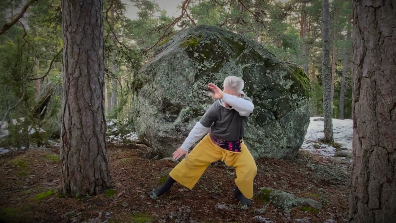 Wu Xing Dynamics 5, Seasons 1080p