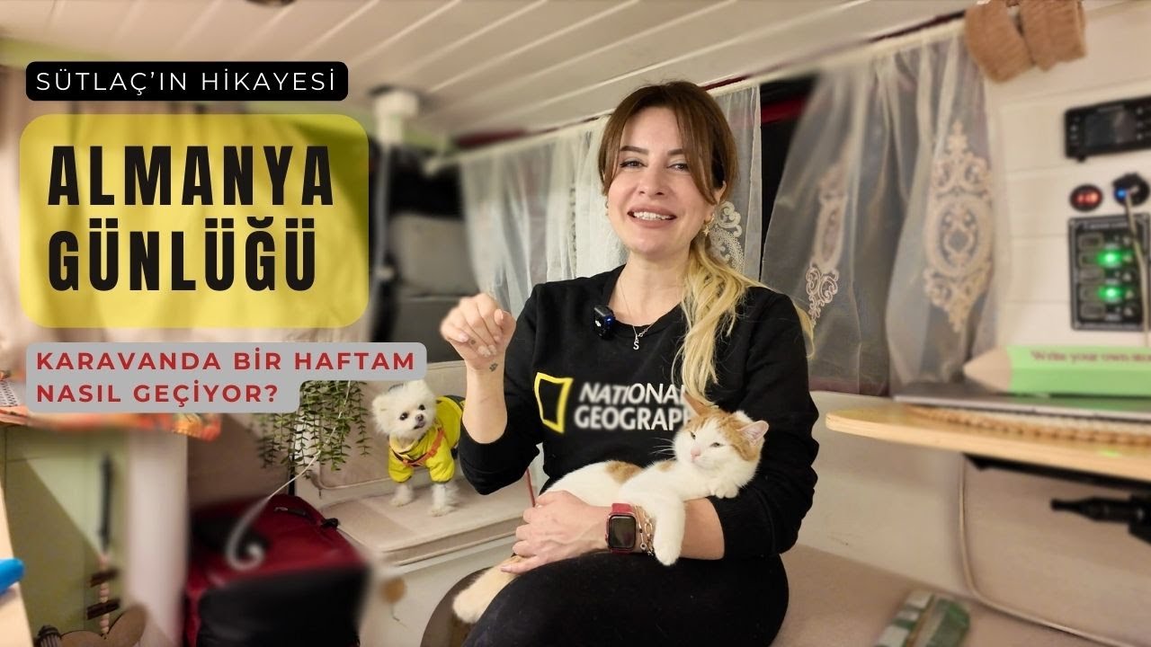 Almanya’da Karavanda Bir Hafta | Ev Arayışı ve Sütlaç’ın Hikayesi 🐾