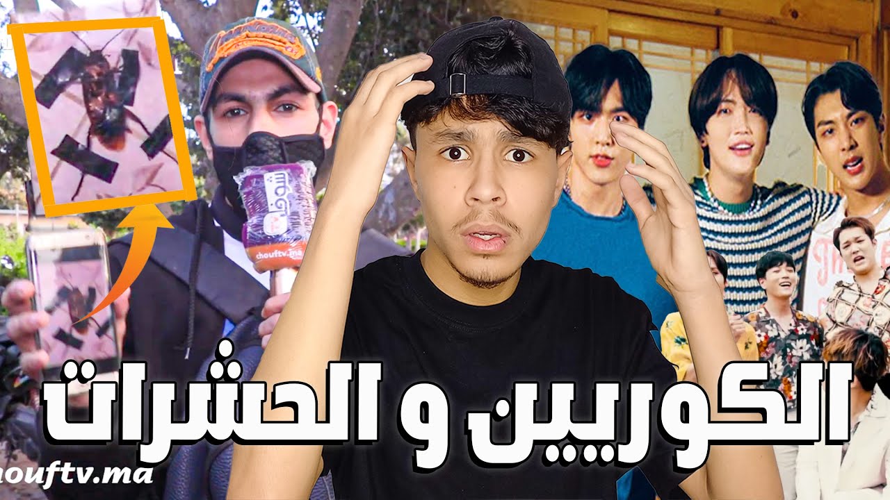 الكوريين و   الحشرات 😂💔