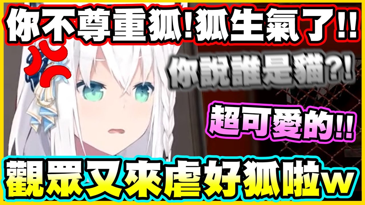 你不尊重狐!狐生氣了!!觀眾又來虐狐(貓? 啦!!【白上フブキ】【白上吹雪】【Vtuber中文翻譯】