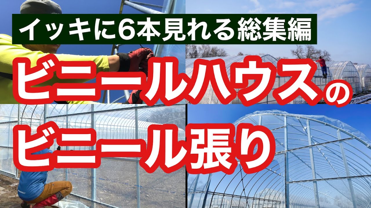 【イッキ見】ビニールハウスのビニール張り総集編（天井・妻面・裾のビニールの張り方解説動画を6本総まとめ）