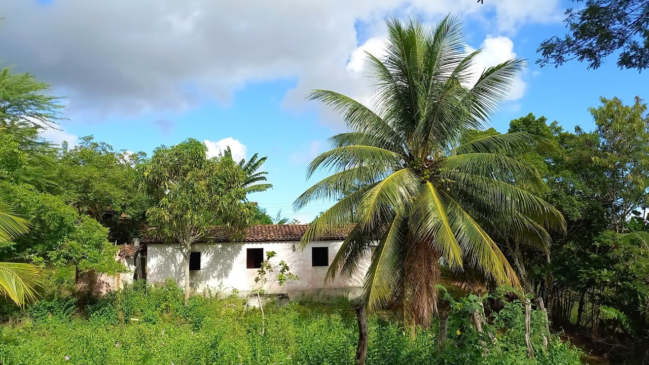 SITIO A VENDA NO AGRESTE PARAIBANO RICO EM AGUA OPORTUNIDADE ÚNICA