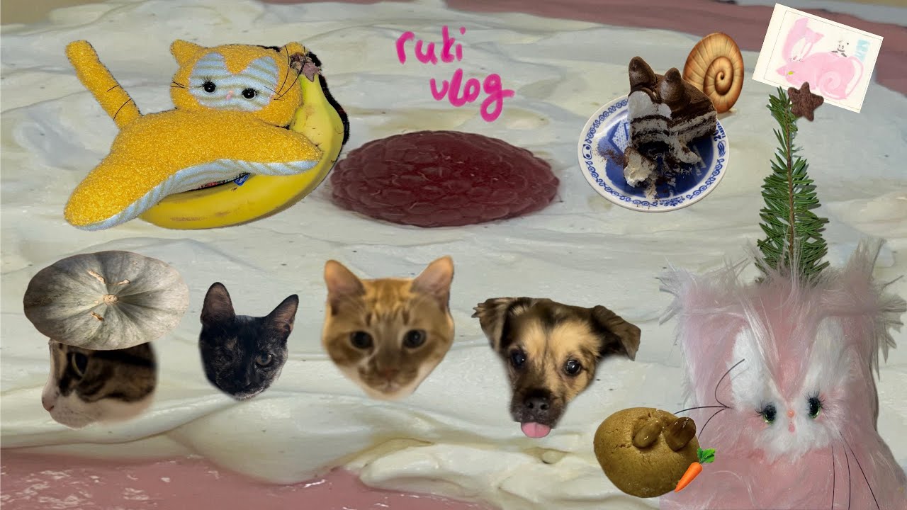 ARTMAXXING•new pumpkin•daily life with 3 cats and a dog | mid december | ruki vlog