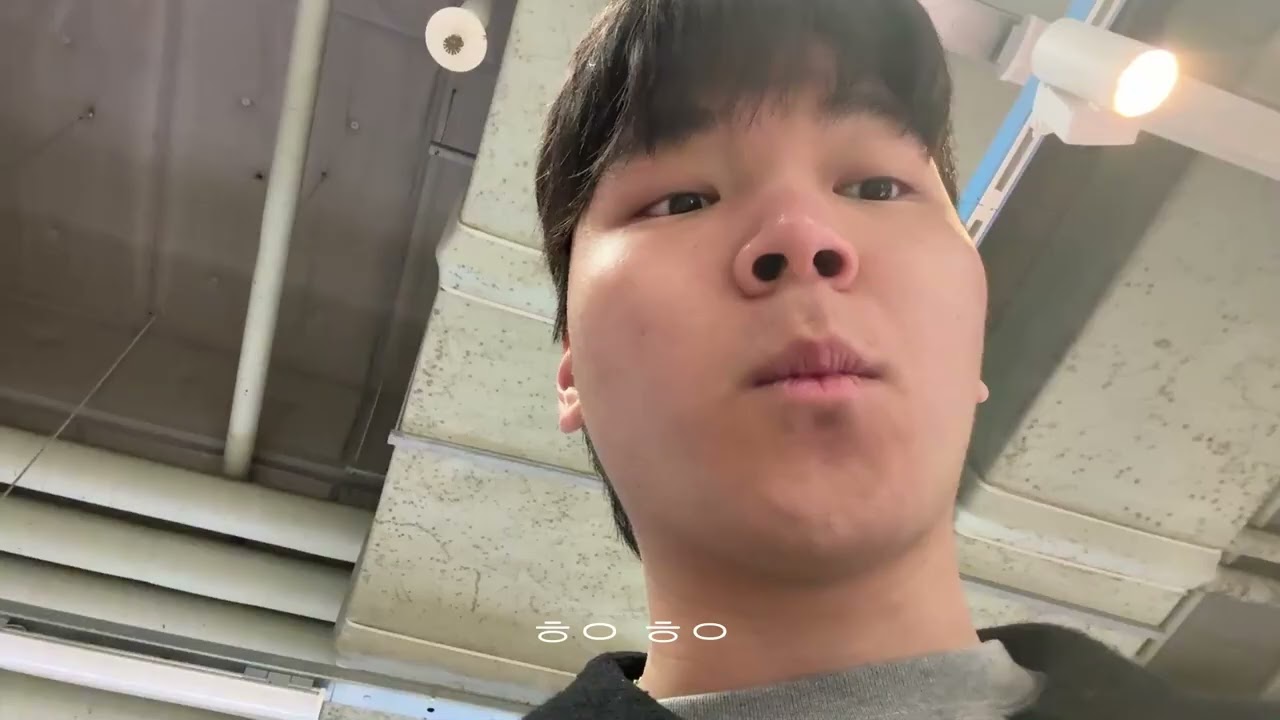 본가에 놀러가 드래곤한테 잡혀먹는 브이로그