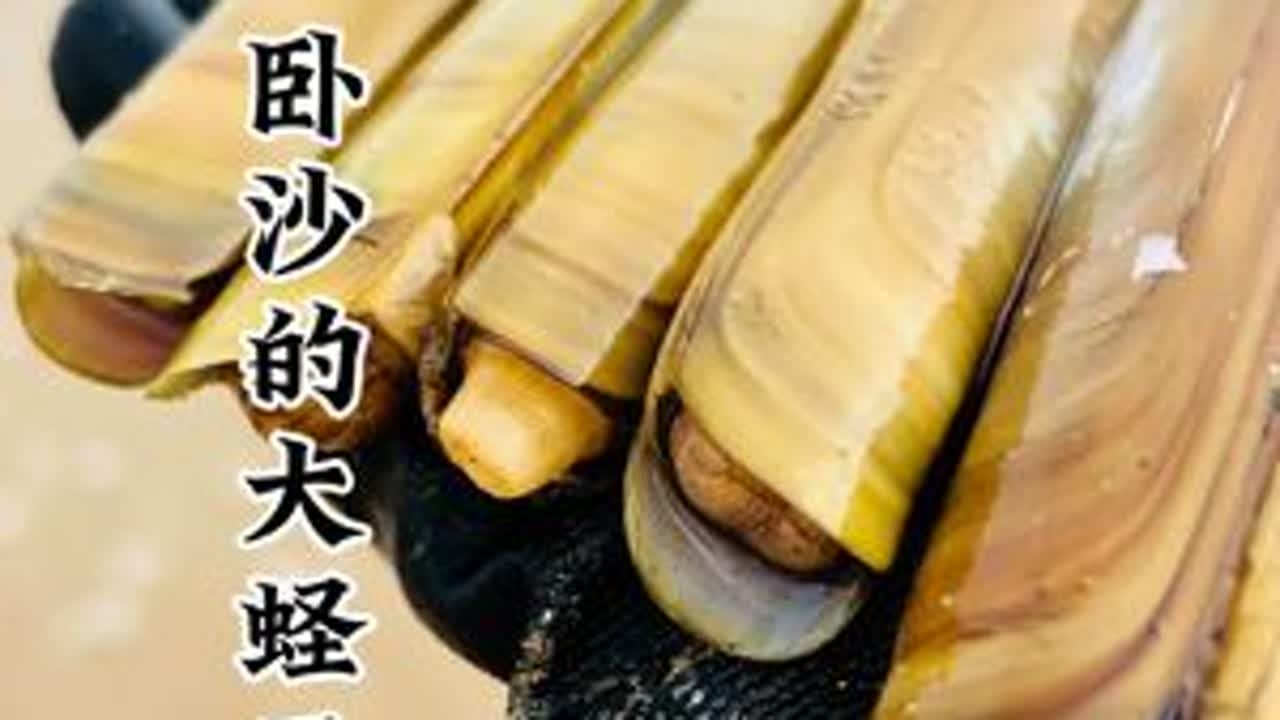 #赶海的乐趣 #创作者中心 #创作灵感 #抖音新 #新农人计划2026 带着螺耙子来抓螃蟹，阿亮赶海挖到了好多的蛏王，还有各种各样的海洋生物