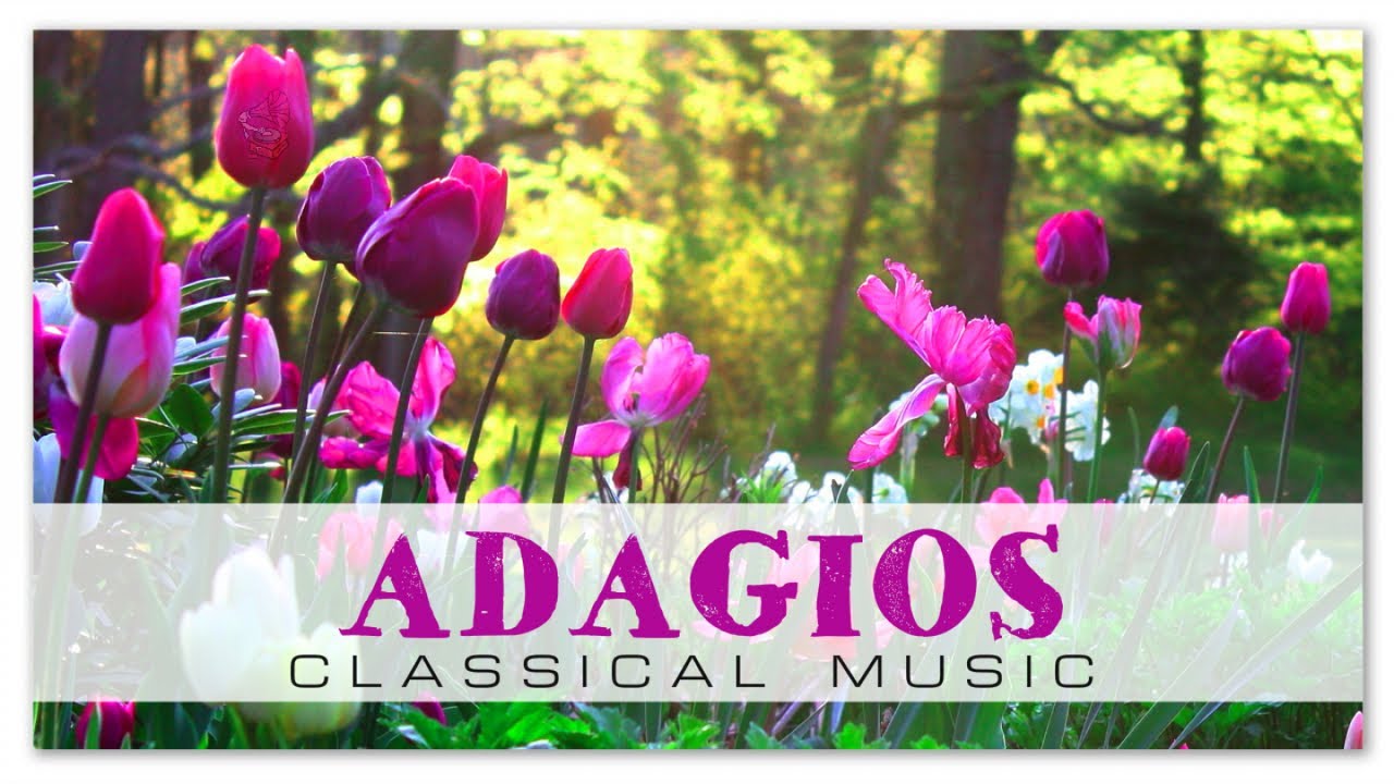 Adagios Classical Music | Albinoni Vivaldi Donizzetti - Relaxing Soothing Meditation Music