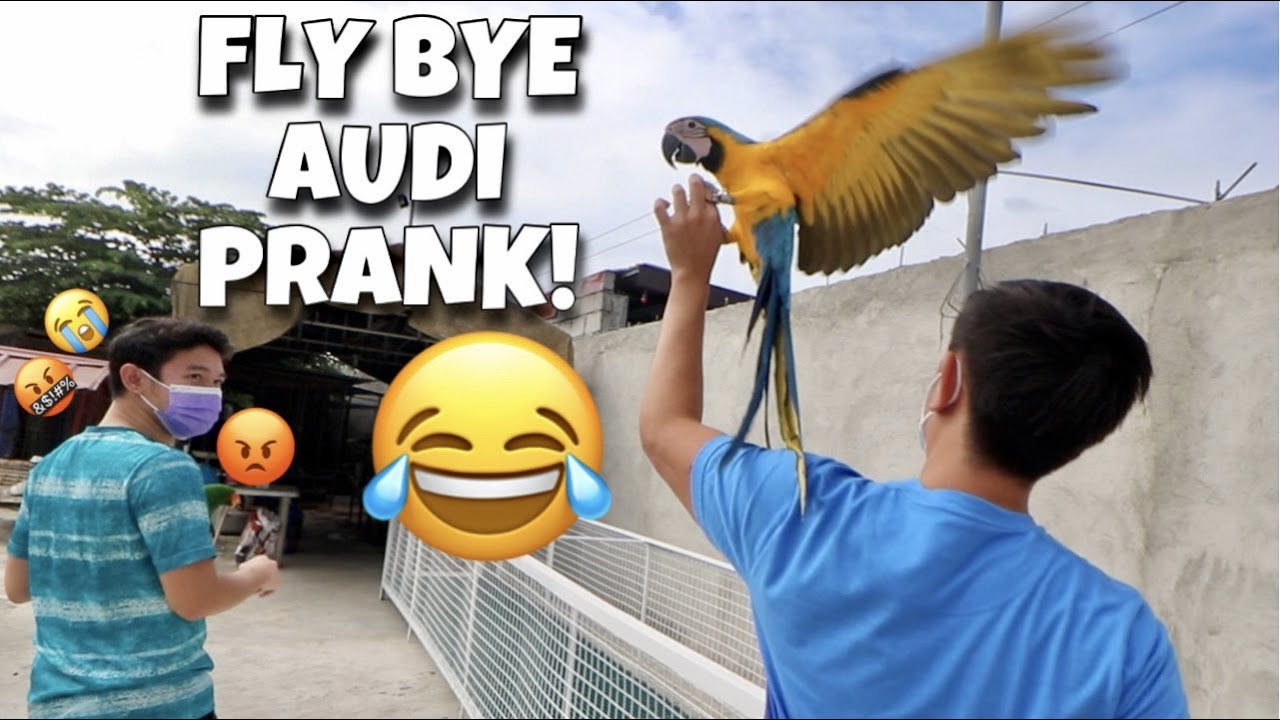 TINAGO KO YUNG MAMAHALING IBON NI @angmckelly! Fly bye Blue and gold macaw! (PART 1) | Murillo Bros
