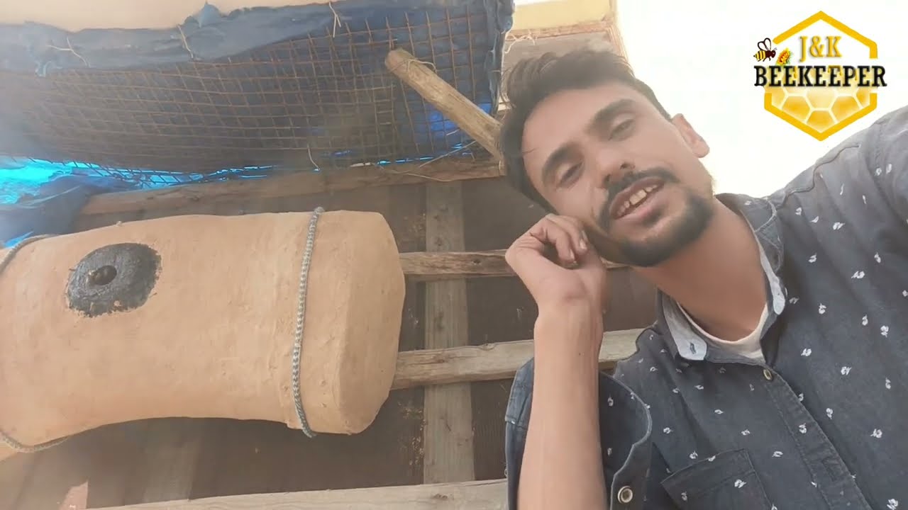 Friend ki Bees Mere Box nain Aa Gai  | Traditional Beekeeping | Beekeeping At Home