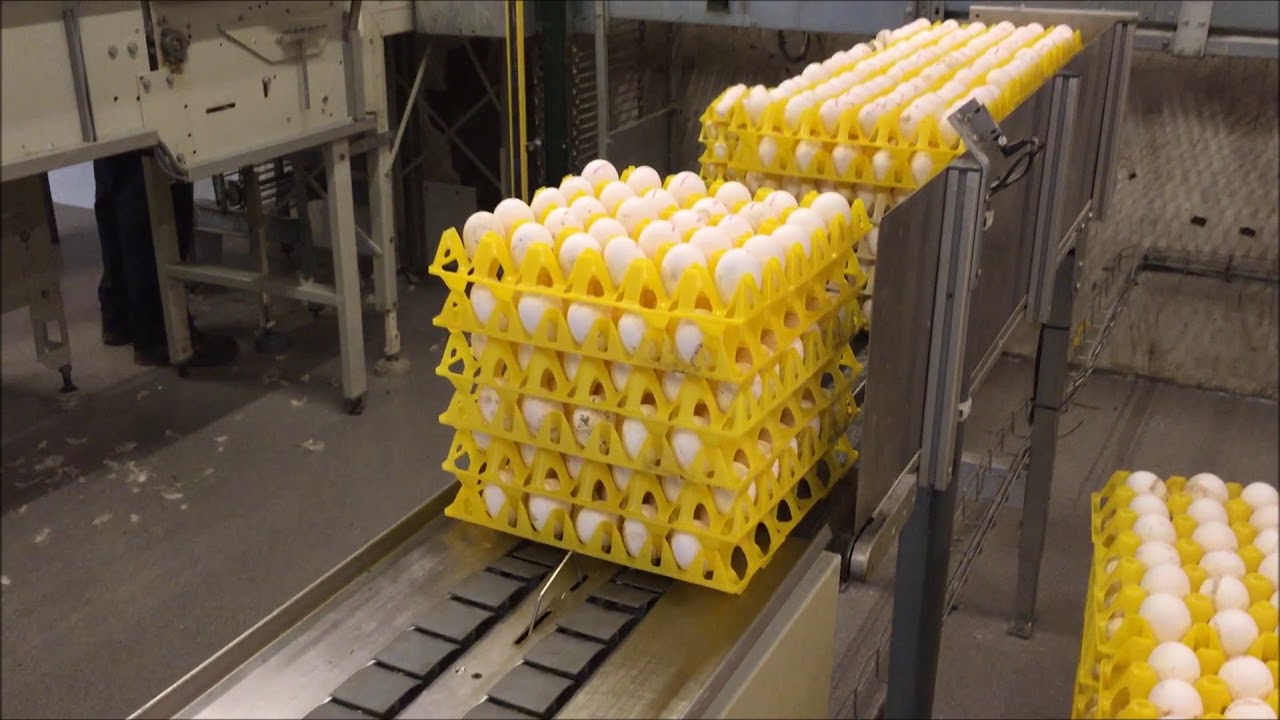 Van Roessel Techniek: Moba Mopack 100 Farmpacker