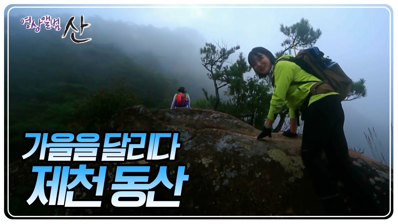 이름이 동산이라고 만만하게 봤다가는 큰일납니다 '제천 동산' [영상앨범 산] | KBS 20241006 방송