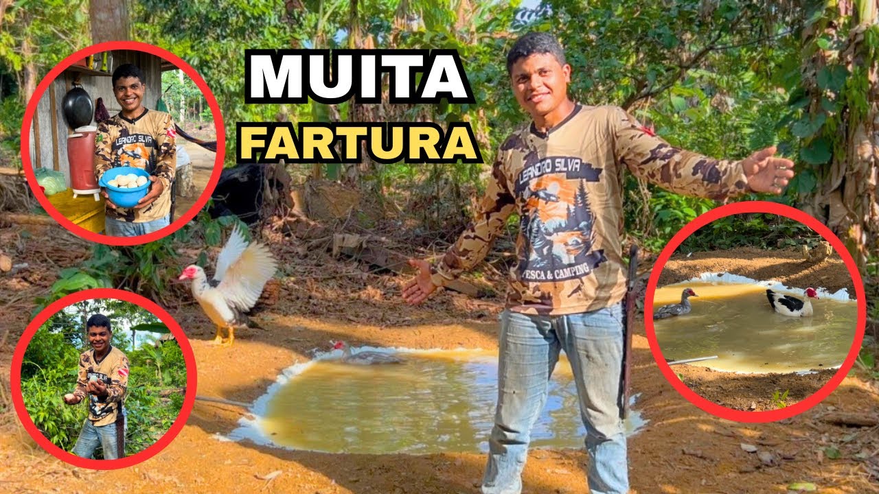 OS PATOS ESTREARAM A NOVA PISCINA E ENCONTRAMOS MUITOS OVOS CAIPIRAS - VEJA QUE FARTURA